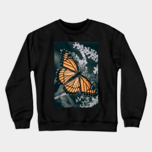 Dark Monarch Butterfly. Orange, Black and White Photograph Crewneck Sweatshirt